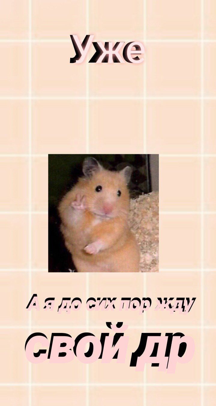 720x1356  Пин от пользователя Алеся Оводова на доске Покраска обоев | Веселые обои,  Забавные обои, Декоративные надписи