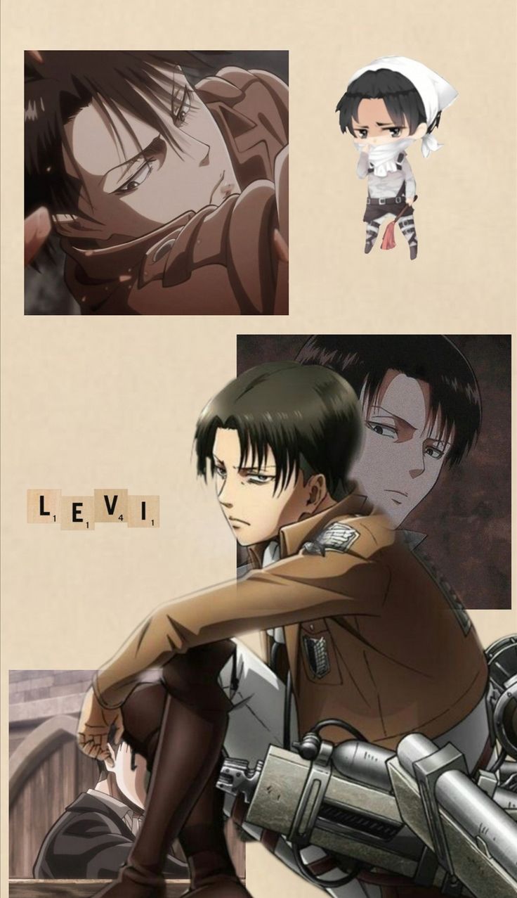 736x1277  Леви обои на телефон | Рисунки девушки, Фотографии профиля, Леви акерман