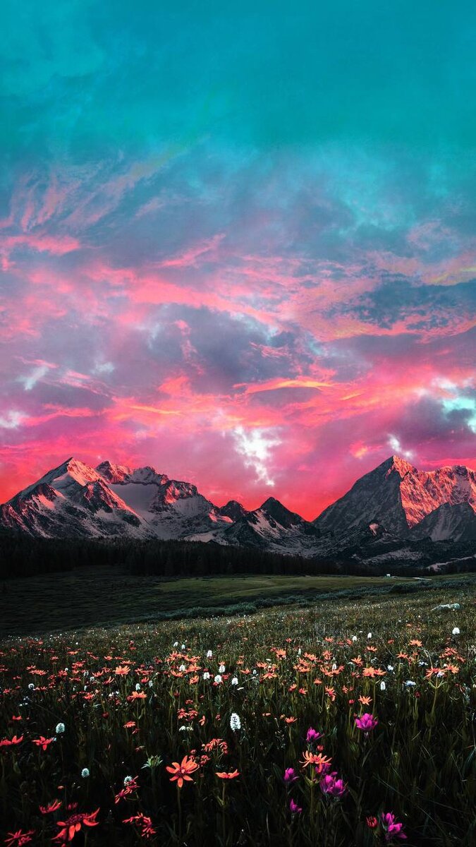 675x1200  Природа | 🌸Обои, картинки на телефон💮 | Дзен