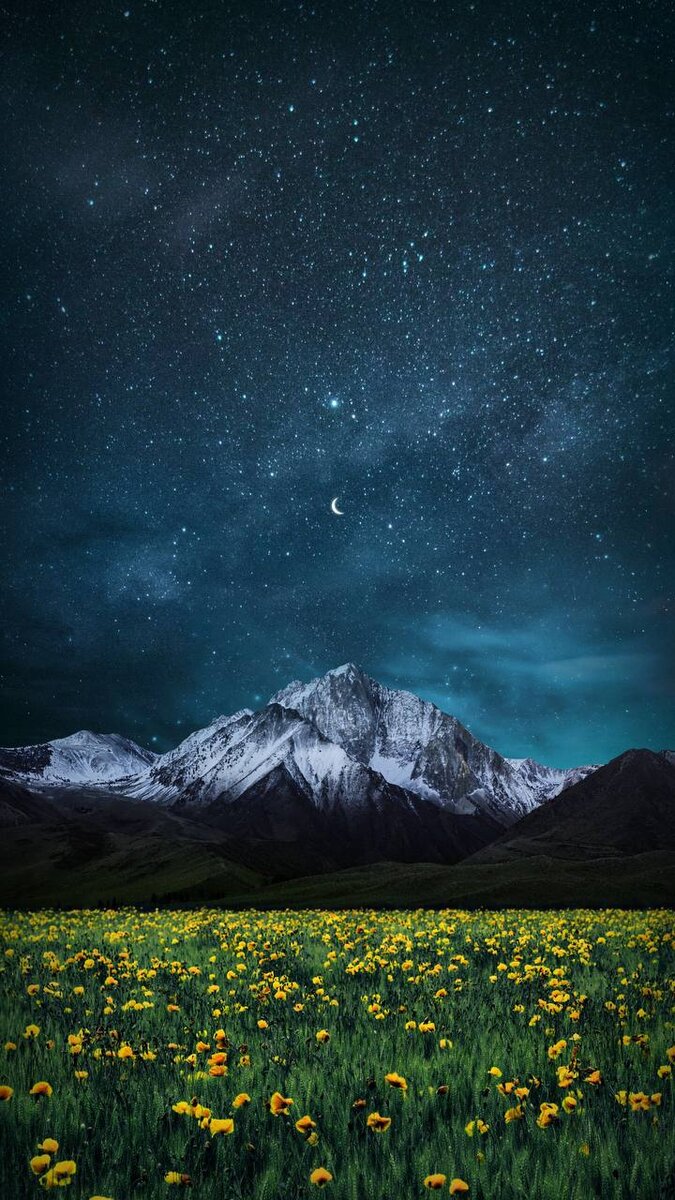 675x1200  Топ 4К обои на телефон [33+ изображений]