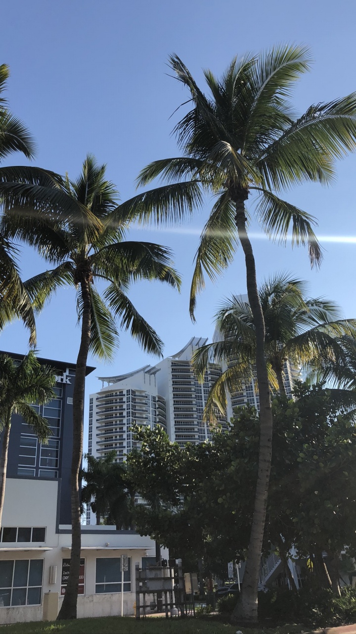 720x1280  Hotline Miami :: Игры / картинки, гифки, прикольные комиксы, интересные  статьи по теме.