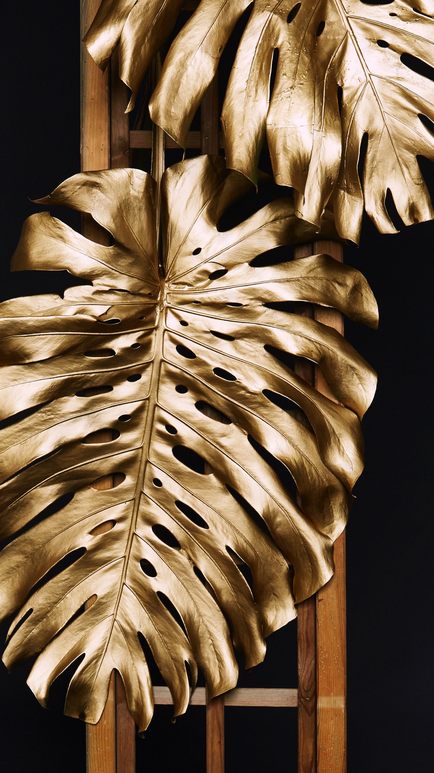 1440x2560  Обои на телефон монстера, листья, золотой, краска - скачать бесплатно в  высоком качестве из категории \"Разное\"