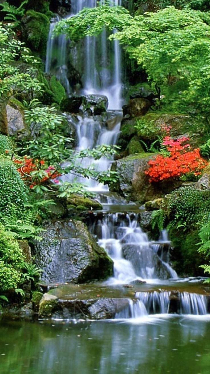 736x1308  Обои 4K Ultra HD | Фоновые обои, Обои для телефона, Фон WhatsApp