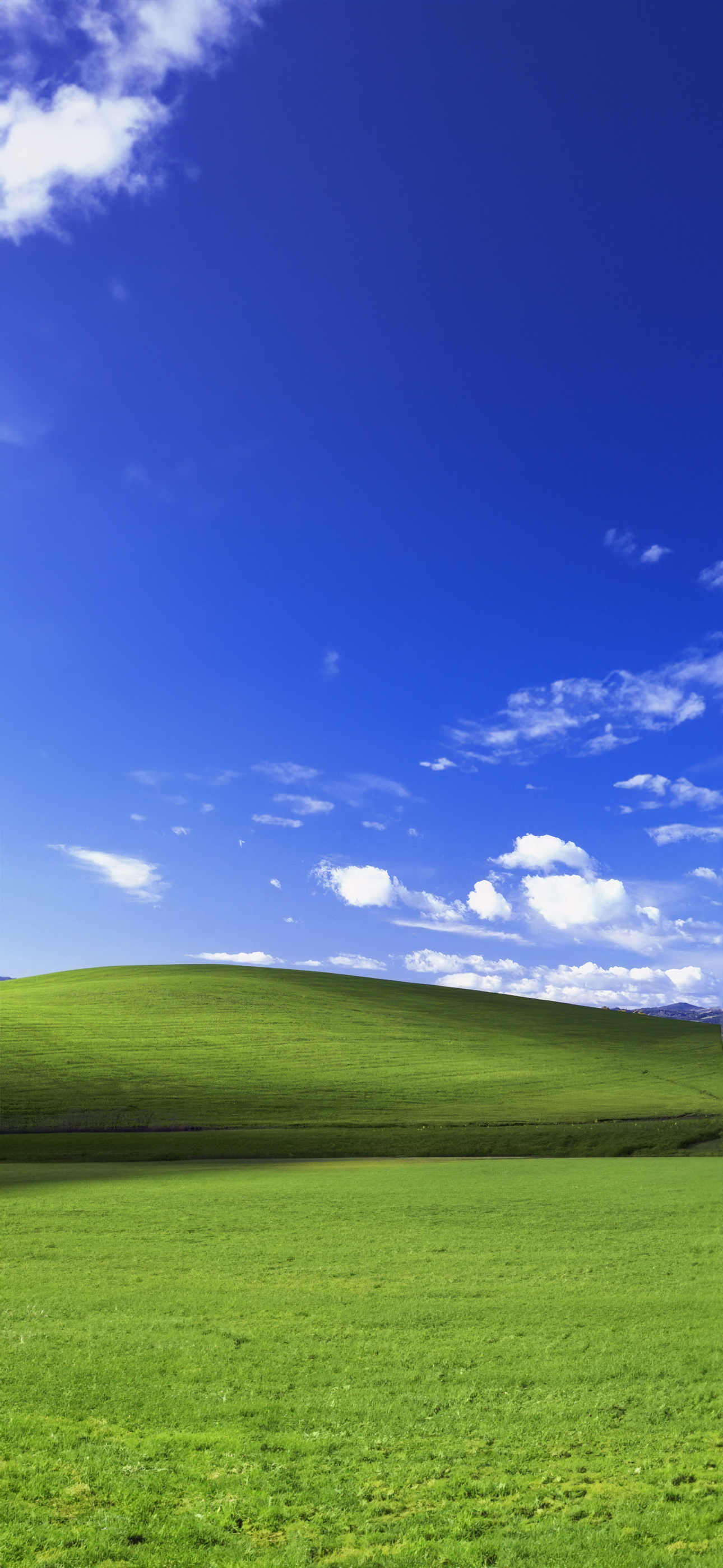 1290x2796  Windows XP Green Fields Обои для iPhone HD — Обои для iPhone: Обои для iPhone в 2023 году | Пейзажные обои, Эстетика неба, Красивые пейзажные обои