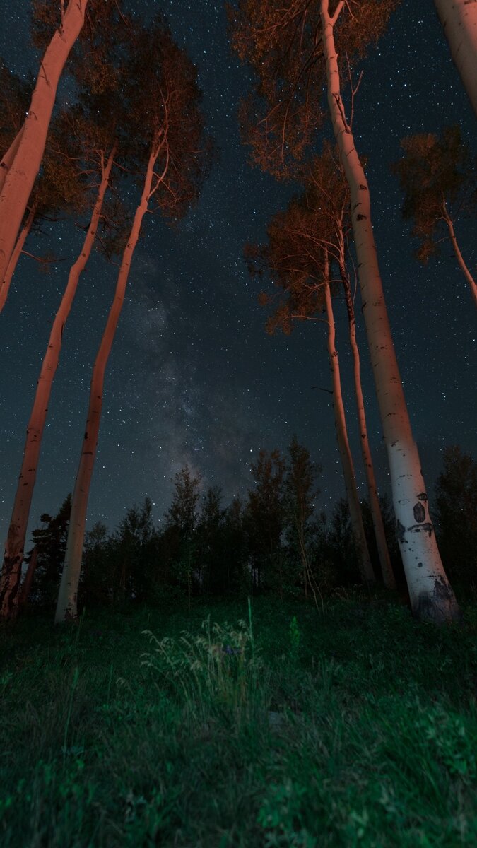 675x1200  Обои на телефон в HD качестве | Photographer | Дзен