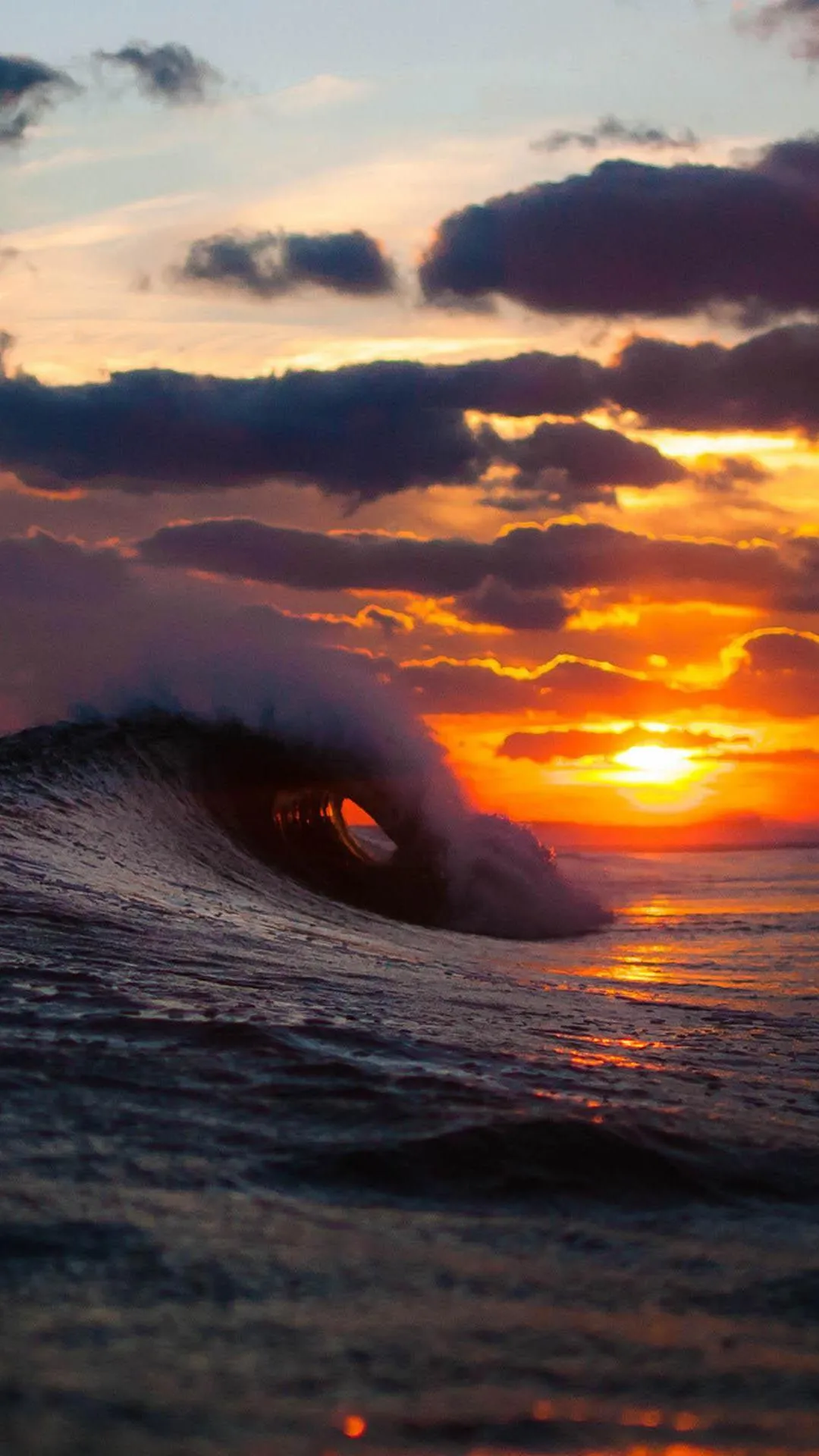 1080x1920  5 Дюймов Hd Обои на телефон рука держит маленький фиолетовый цветок,  Человек, На Открытом Воздухе, Удержание, Небо, Облако, Дым, Облака -  скачать картинку