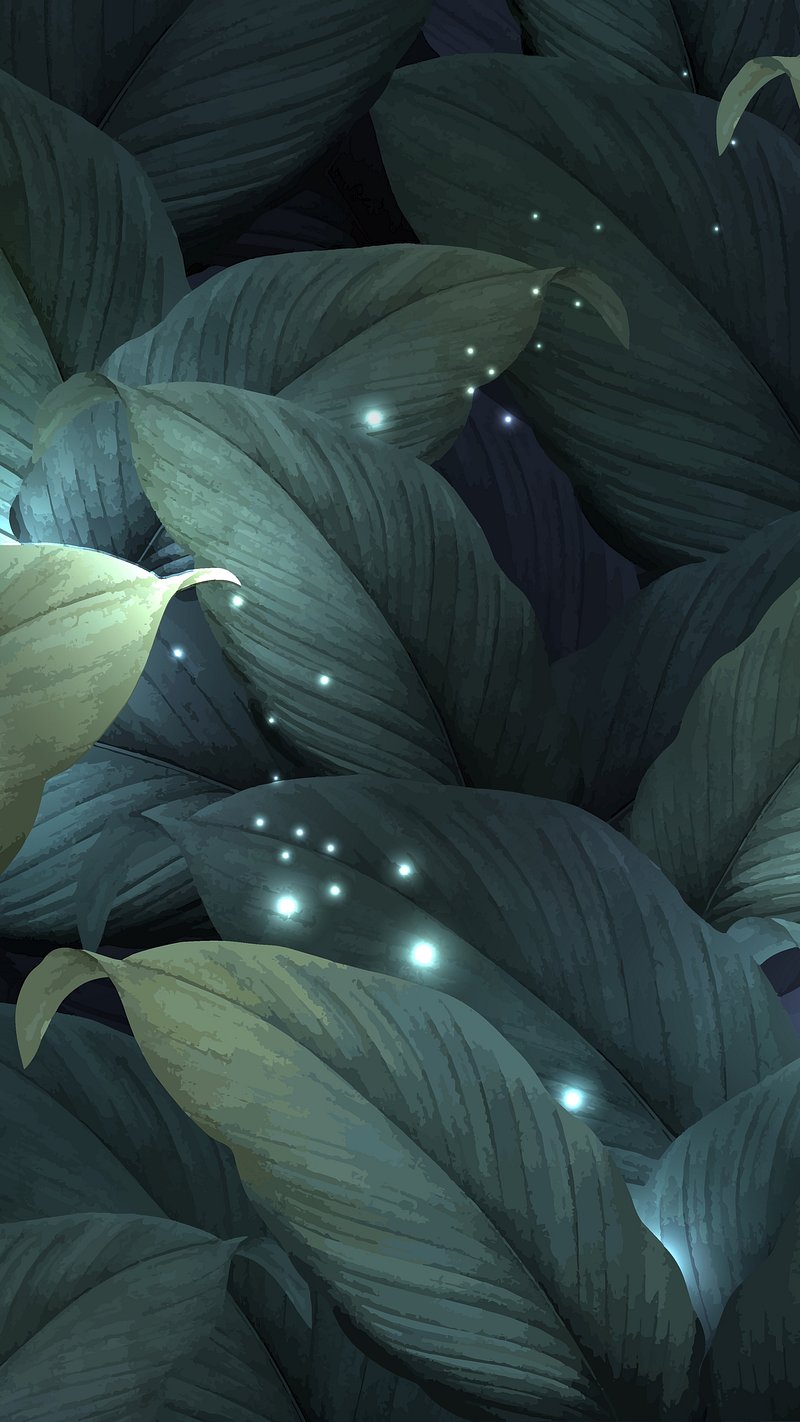 800x1422  1080×1920 HD обои для мобильного телефона sony lg htc Motorola Samsung | Бесплатные обои для мобильных телефонов