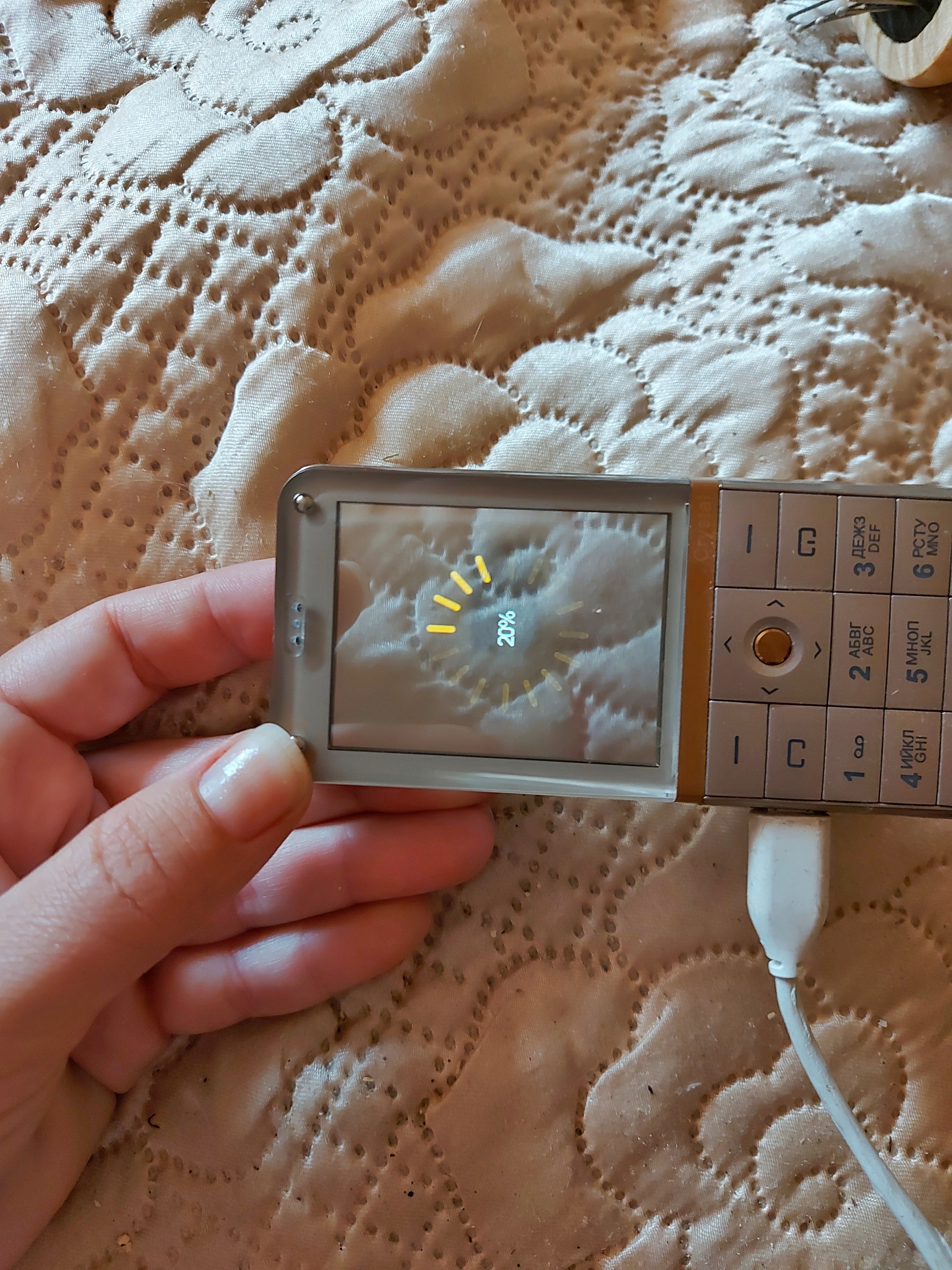 2048x2731  Прозрачный | Пикабу