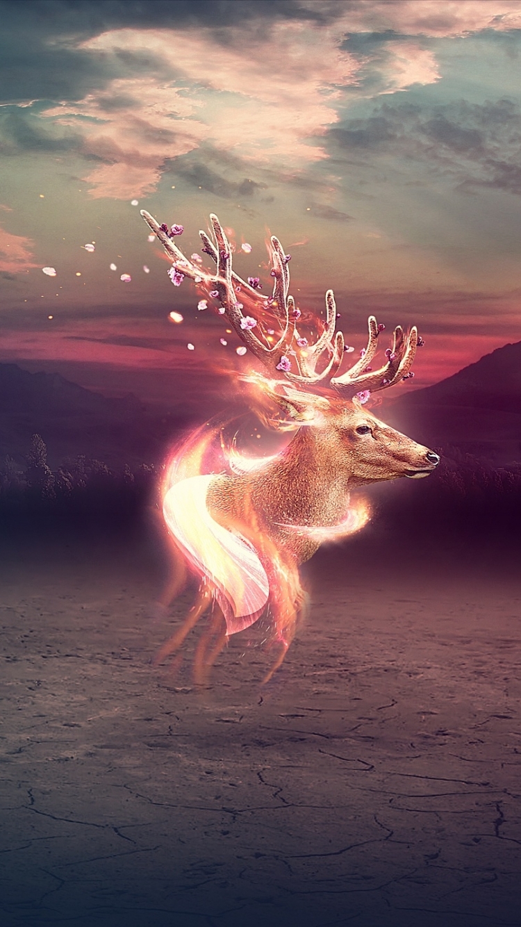 750x1334  Скачать обои 640 на 480 бесплатно на телефон, заставки и картинки 640x480  для мобильного