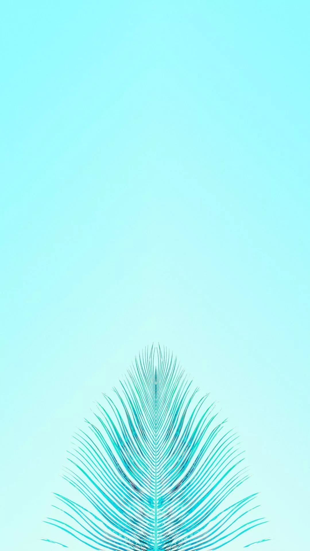 1080x1920  Бирюзовые обои на айфон - 70 фото