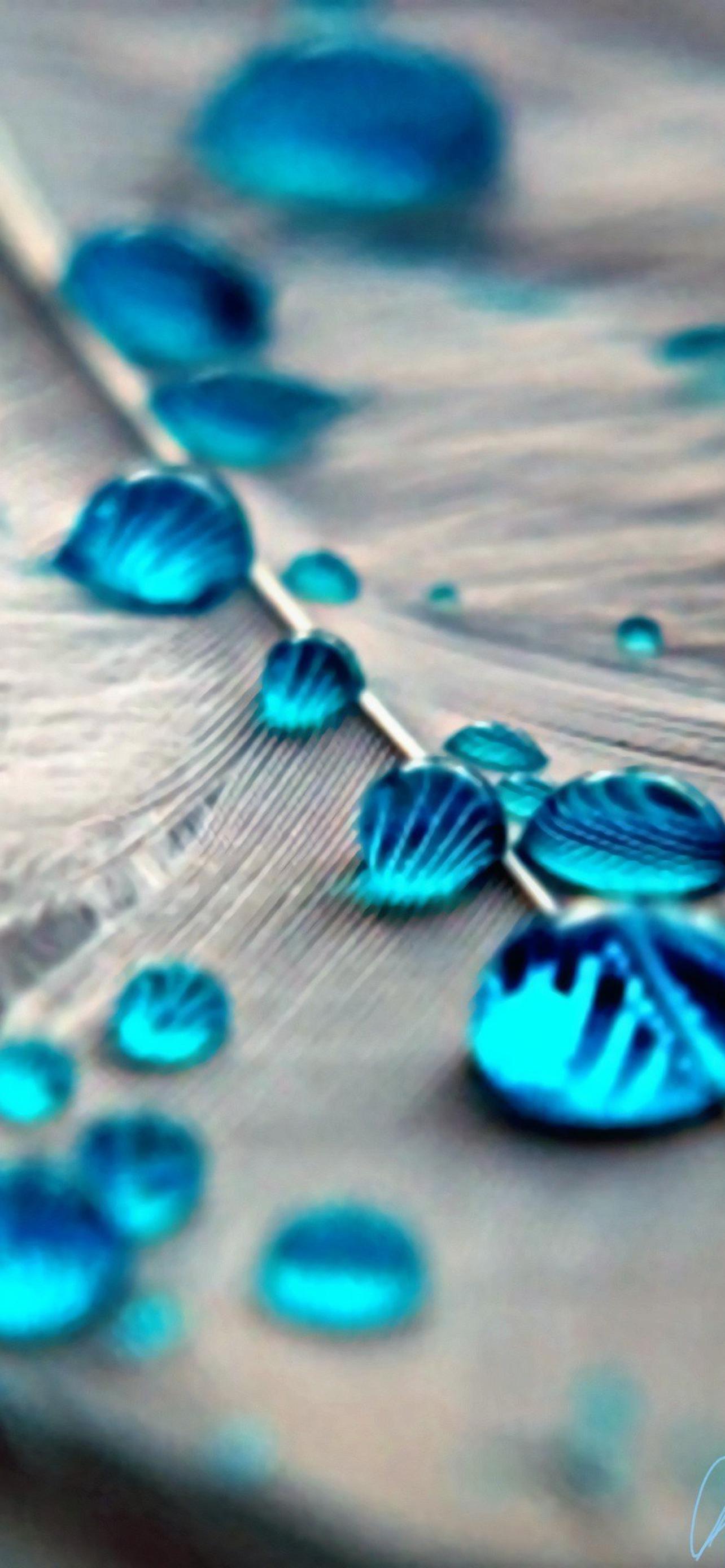 1284x2778  Красивые бирюзовые обои на телефон [24+ изображений]