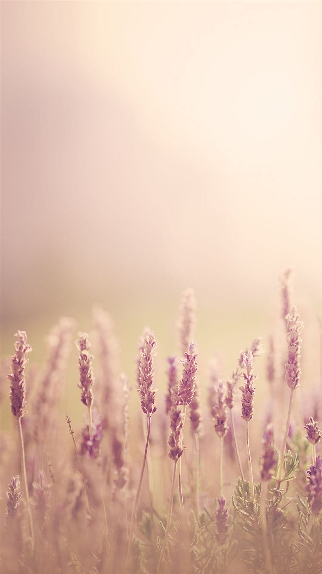 1080x1920  Кремовые обои на телефон - 65 фото