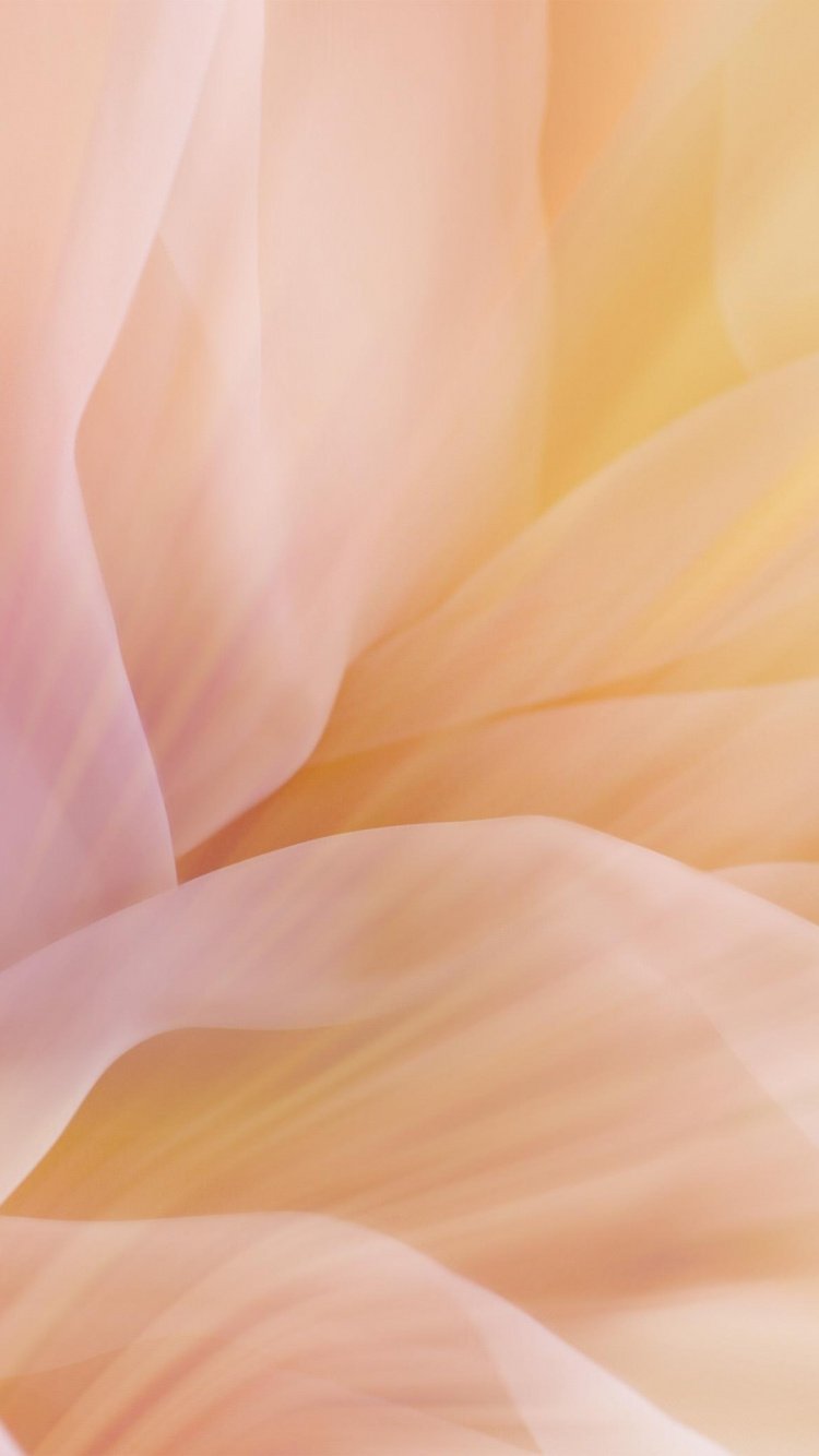 750x1334  Бежевые обои на телефон (29 фото)