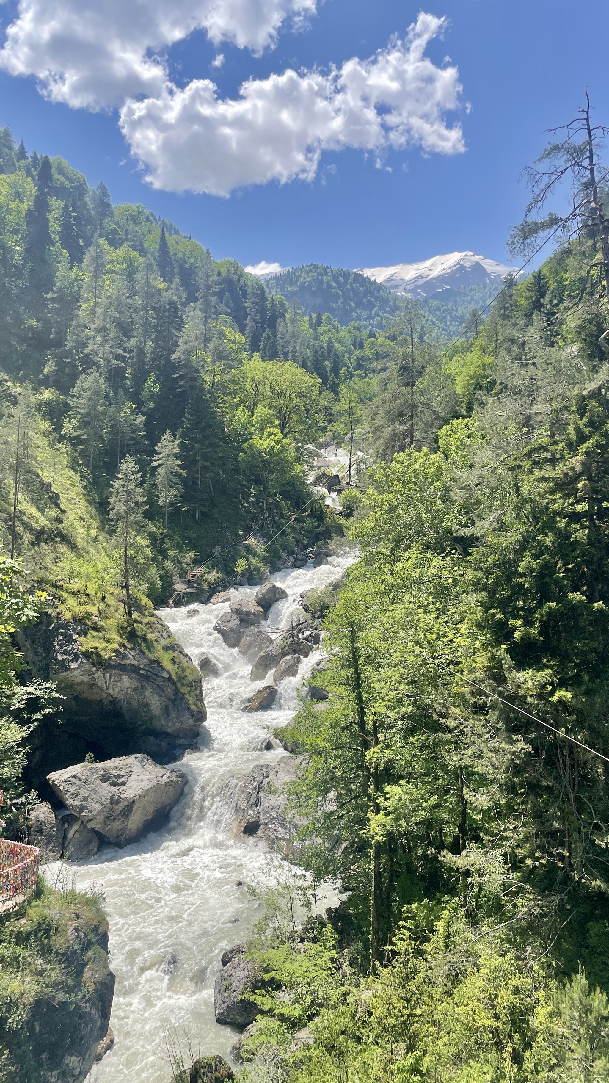 2048x3641  Природные картинки на телефон - 57 фото