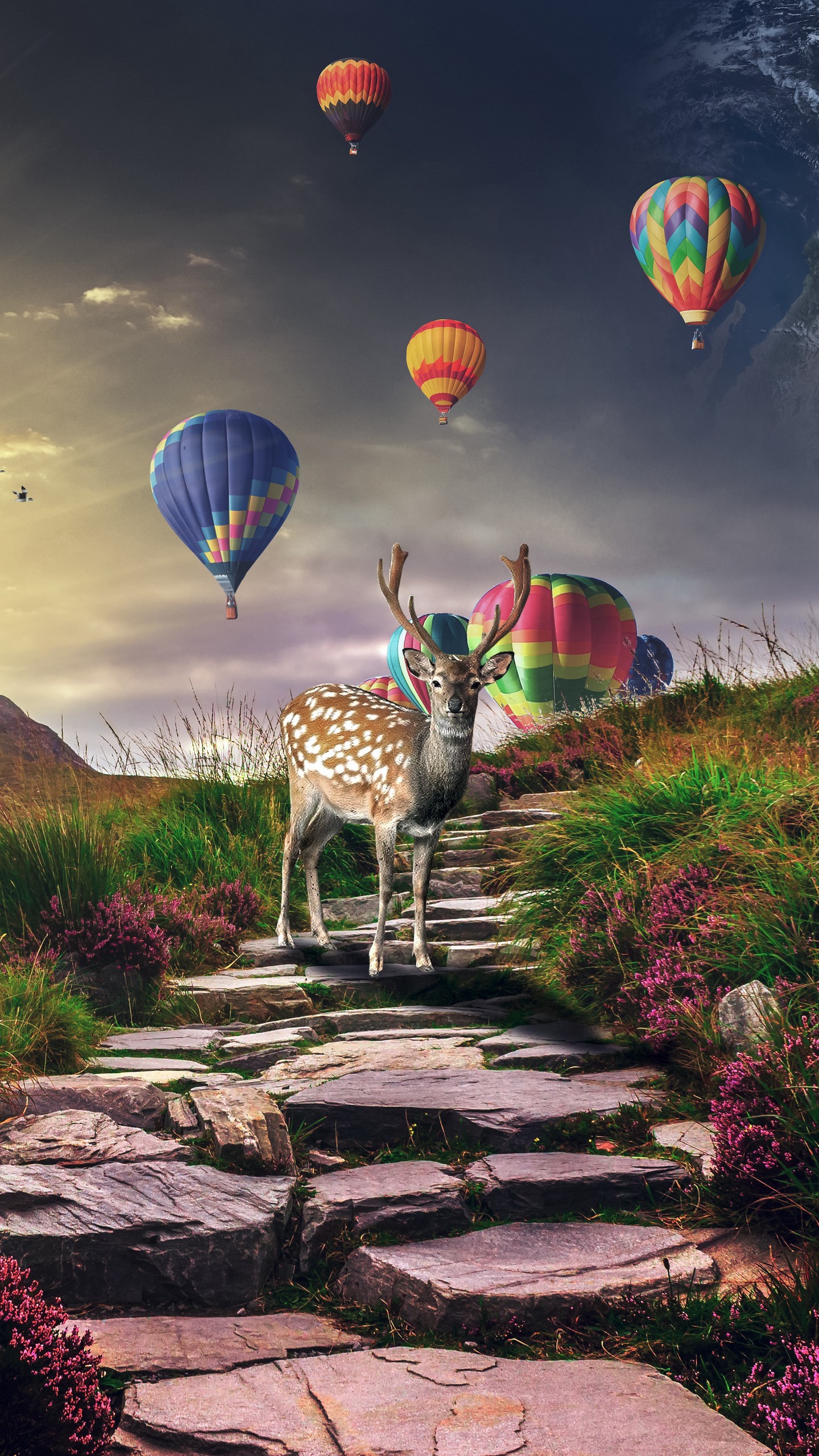 1440x2560  Обои на телефон олень, воздушные шары, аэростаты, фотошоп - скачать  бесплатно в высоком качестве из категории \"Животные\"