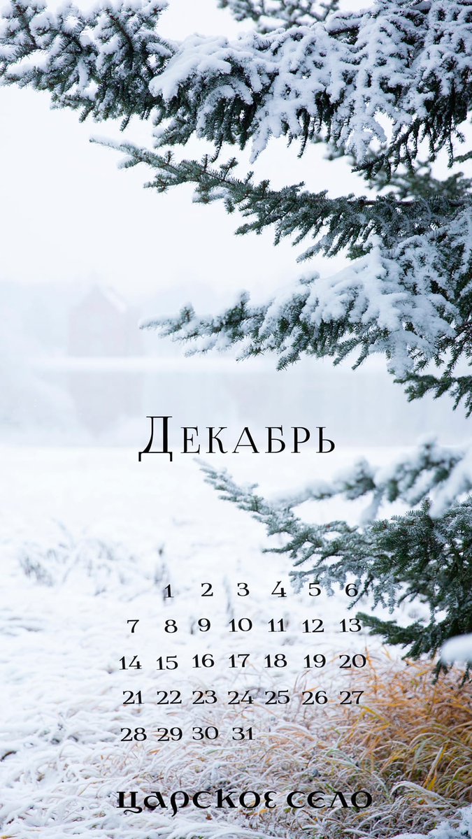 675x1200  Tsarskoe Selo 🏛️ on X: \"🇷🇺#ЦарскоеСело #декабрь2020 #календарь  #обоидлятелефона #заставканателефон #обоинателефон #обои #телефон  📲Download: https://t.co/RmzDk3TJoW 🇬🇧#TsarskoeSelo #December2020  #calendar #PhoneWallpapers #wallpaper #screensaver ...