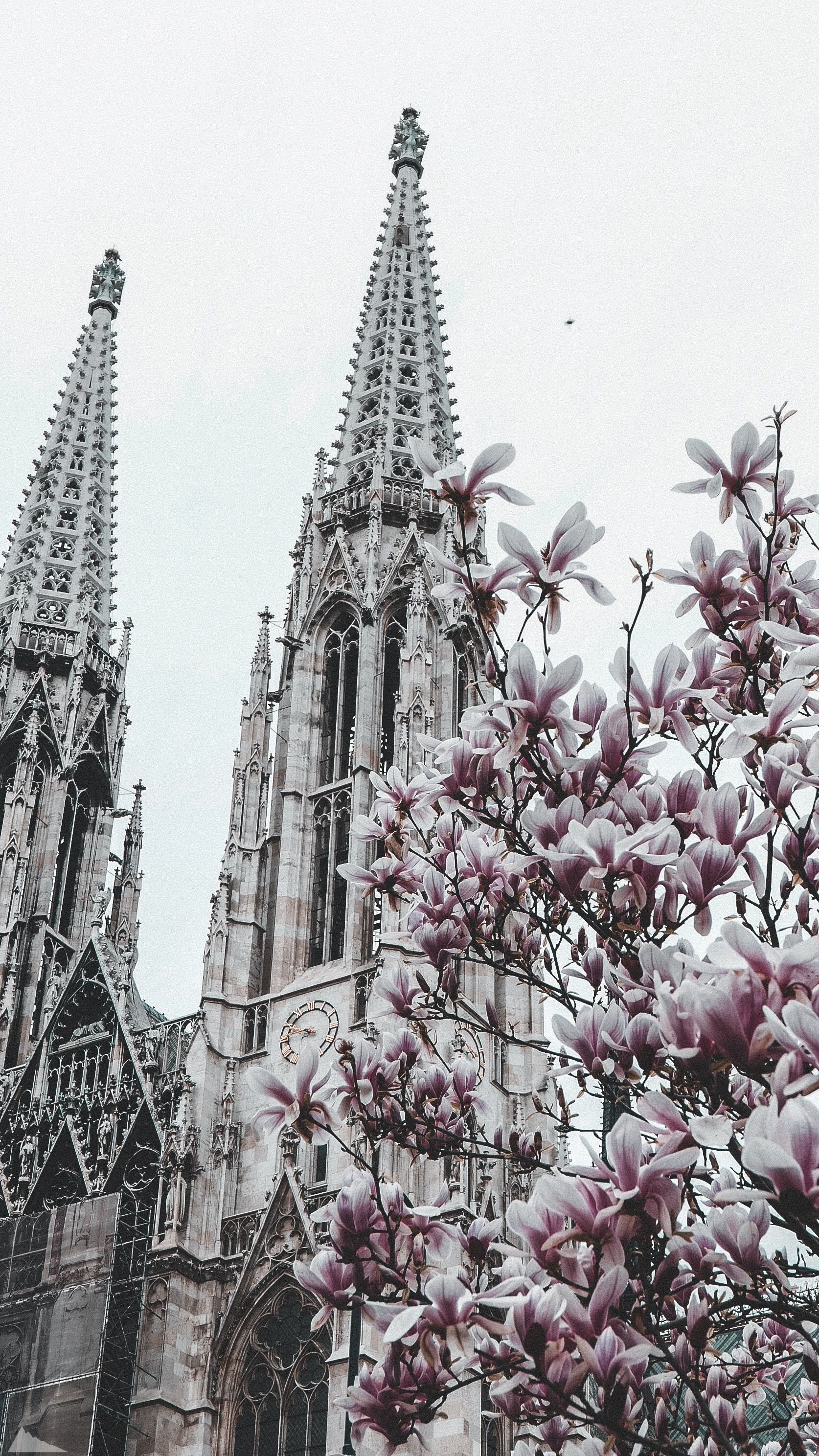 1674x2976  Скачать обои \"Дом\" на телефон в высоком качестве, вертикальные картинки  \"Дом\" бесплатно