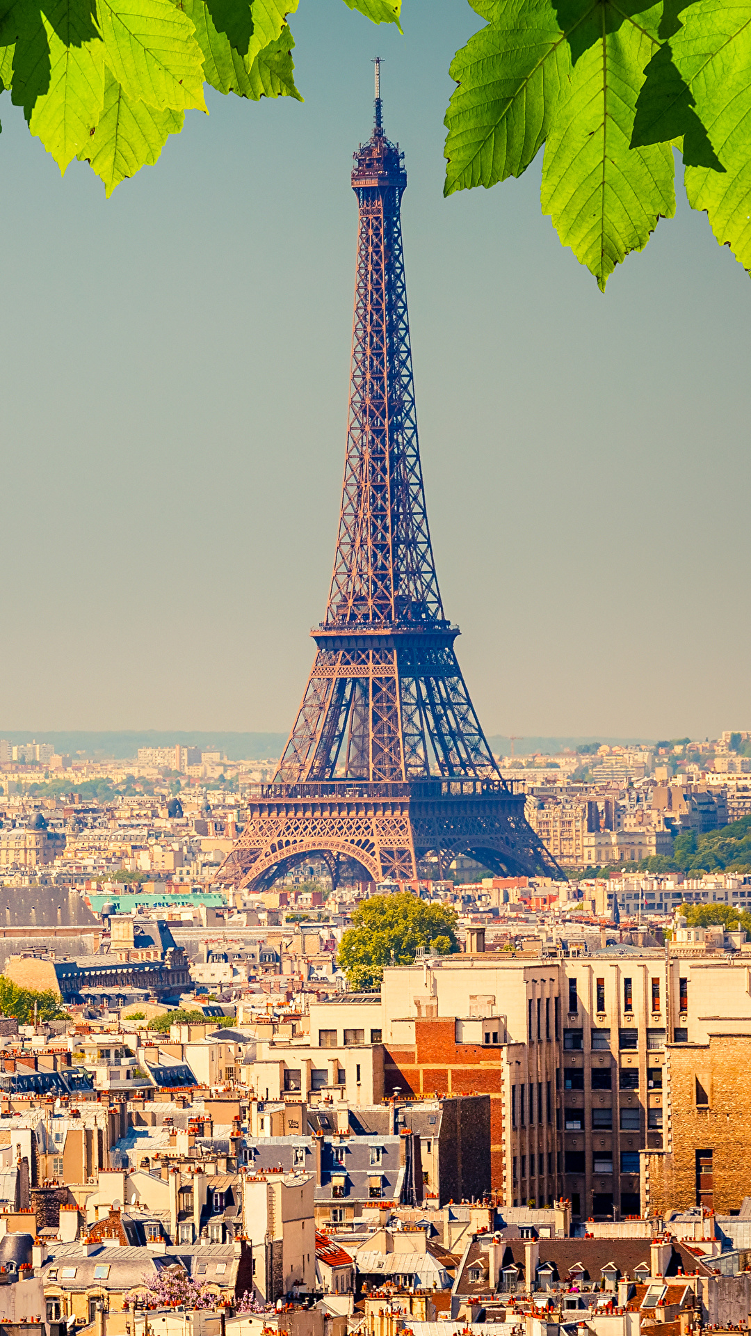 1080x1920  Architecture wallpaper for phone | Architecture wallpaper, City wallpaper,  Baroque architecture