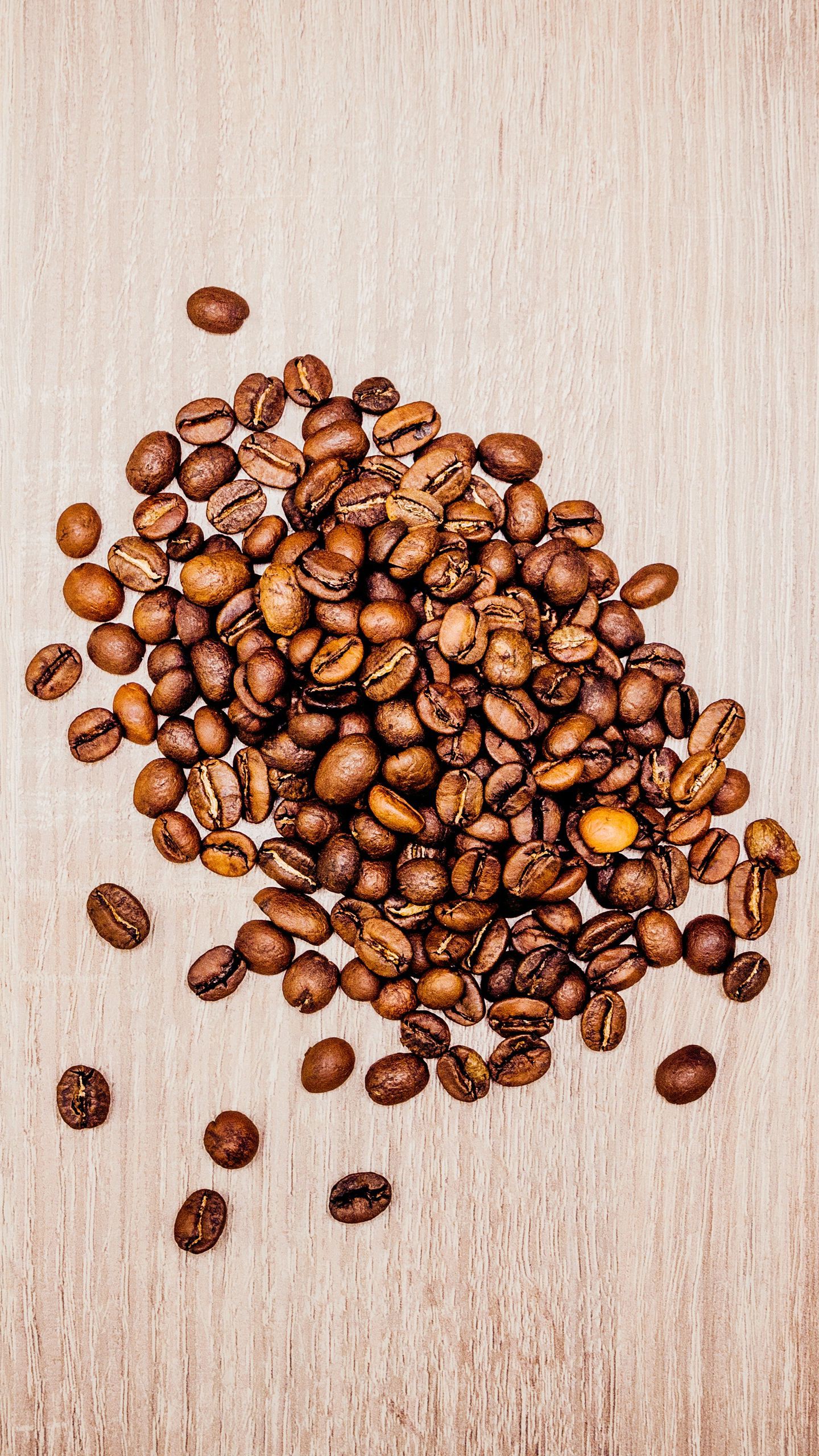 1440x2560  Кофейные зерна обои на телефон [34+ изображений]