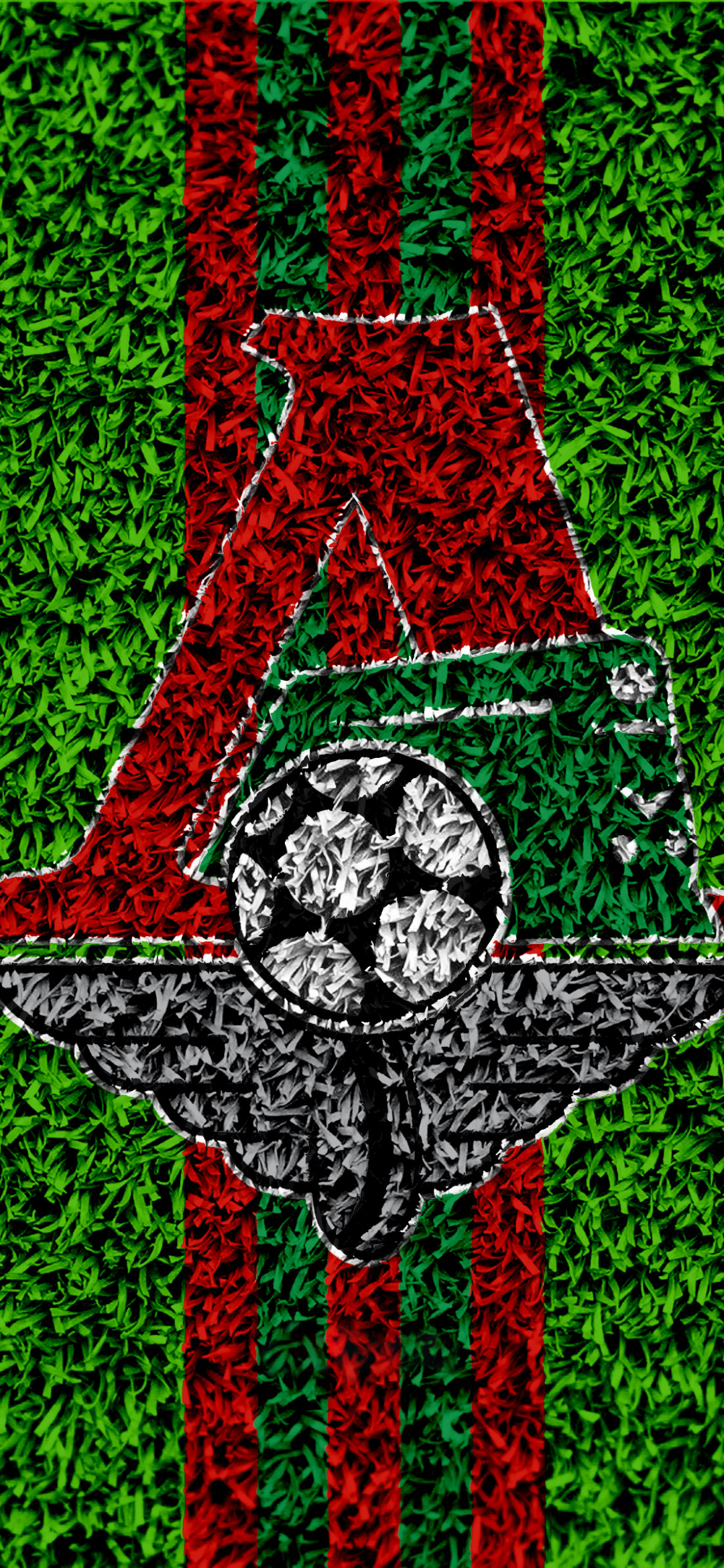 1080x2340  FC Lokomotiv Moscow Phone Wallpapers