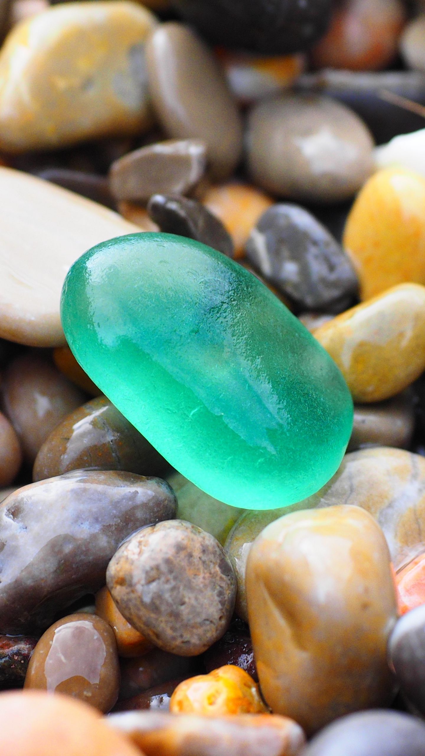 1440x2560  Скачать 1440x2560 морские камни, поверхность, множество обои, картинки qhd  samsung galaxy s6, s7, edge, note, lg g4