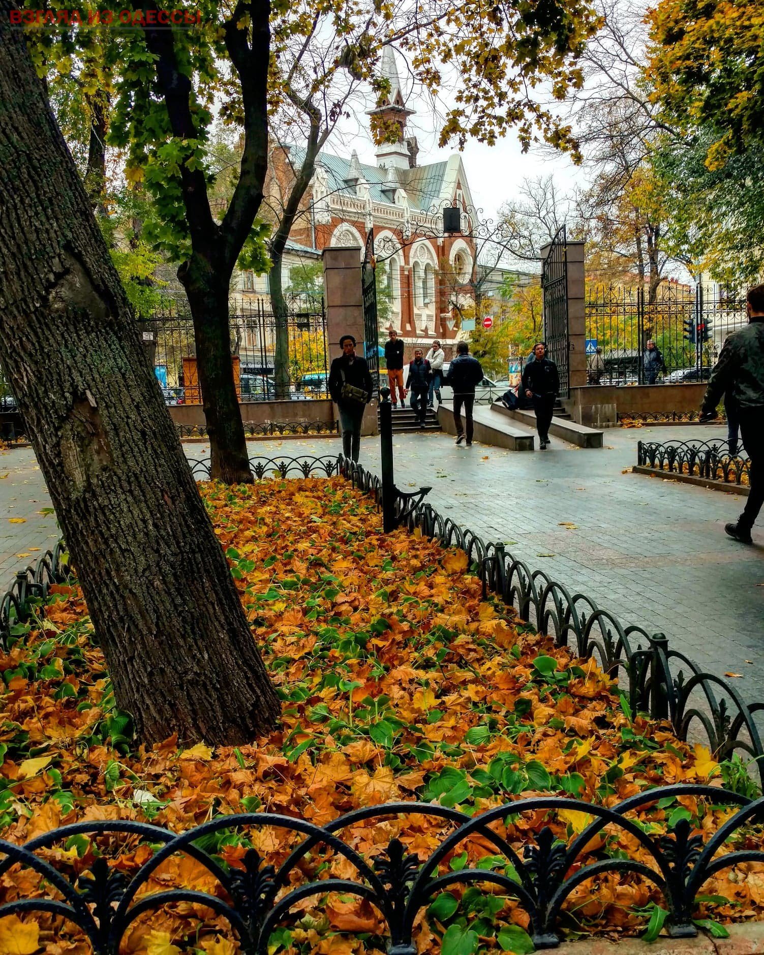 1503x1879  Одесса осенью - 30 фото