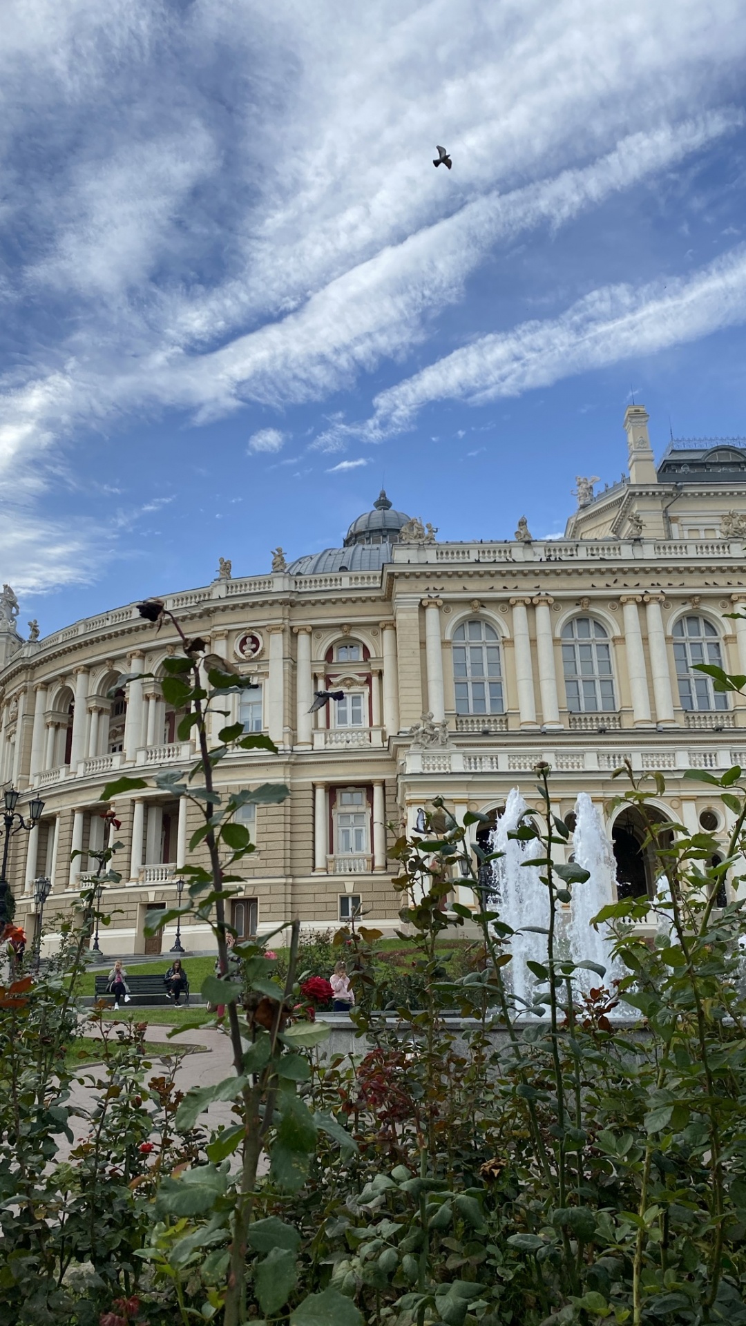 1080x1920  Обои Одесская опера, окно, облако, архитектура, здание на телефон Android,  1080x1920 картинки и фото бесплатно