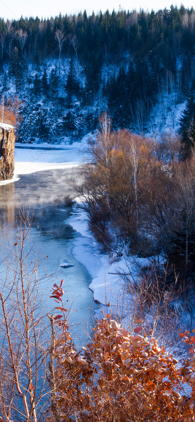 650x1407  Северо-Восток зима обои для мобильного телефона изображение_Фото номер  400795372_JPG Формат изображения_ru.lovepik.com