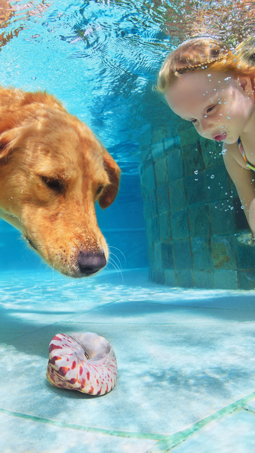 1080x1920  Картинки животное девочка Собаки Подводный мир 1080x1920