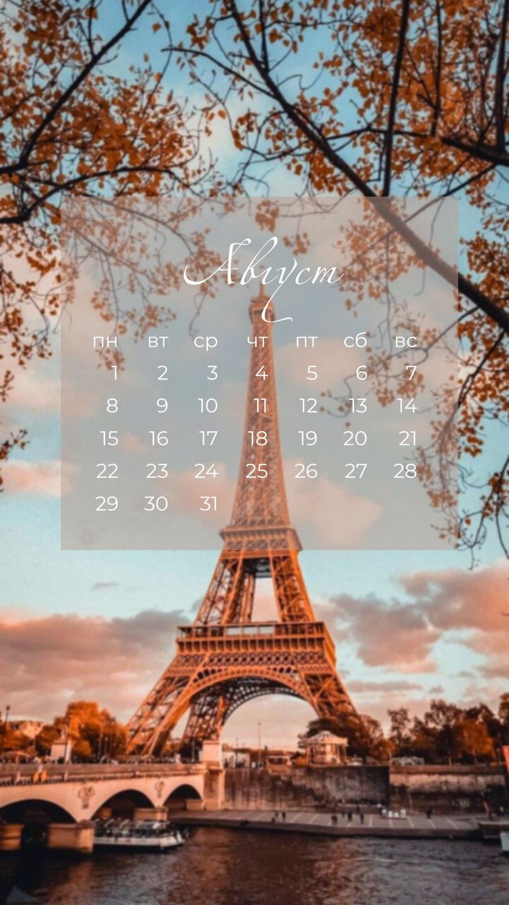 736x1308  Обои на телефон с календарём на август 2022 года | Календарь на август,  Календарь, Телефон