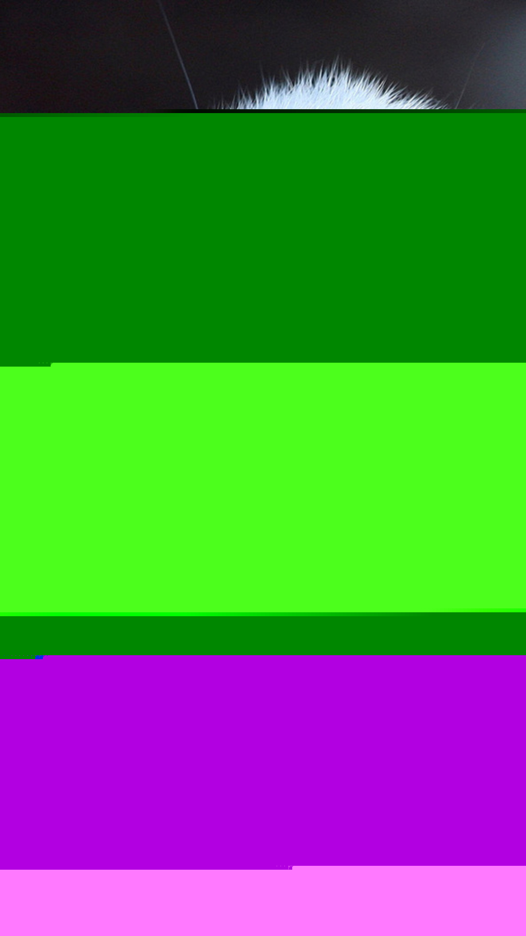 1080x1920  Обои красивые, кролик, кролики, раздел Животные, размер 1680x1050 - скачать  бесплатно картинку на рабочий стол и телефон