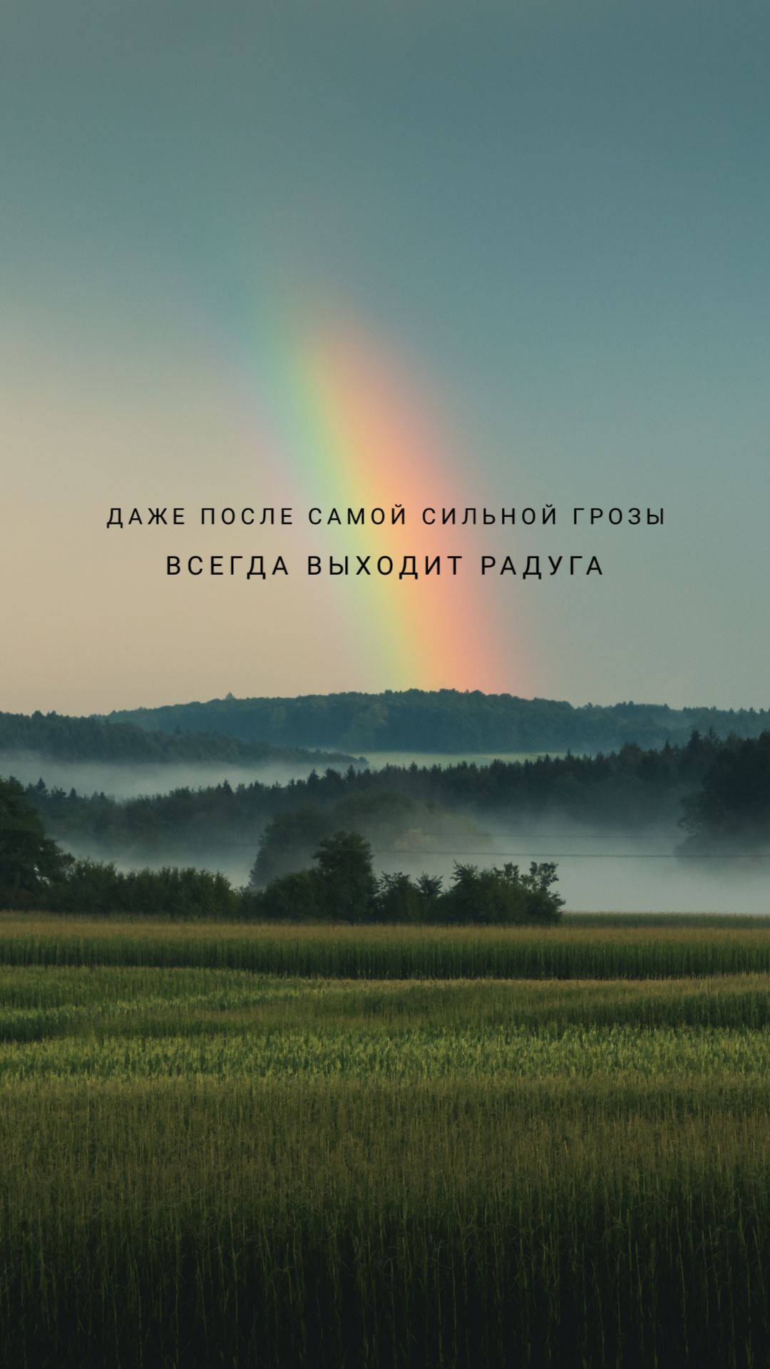 1080x1920  Весенние обои на телефон с мотивацией