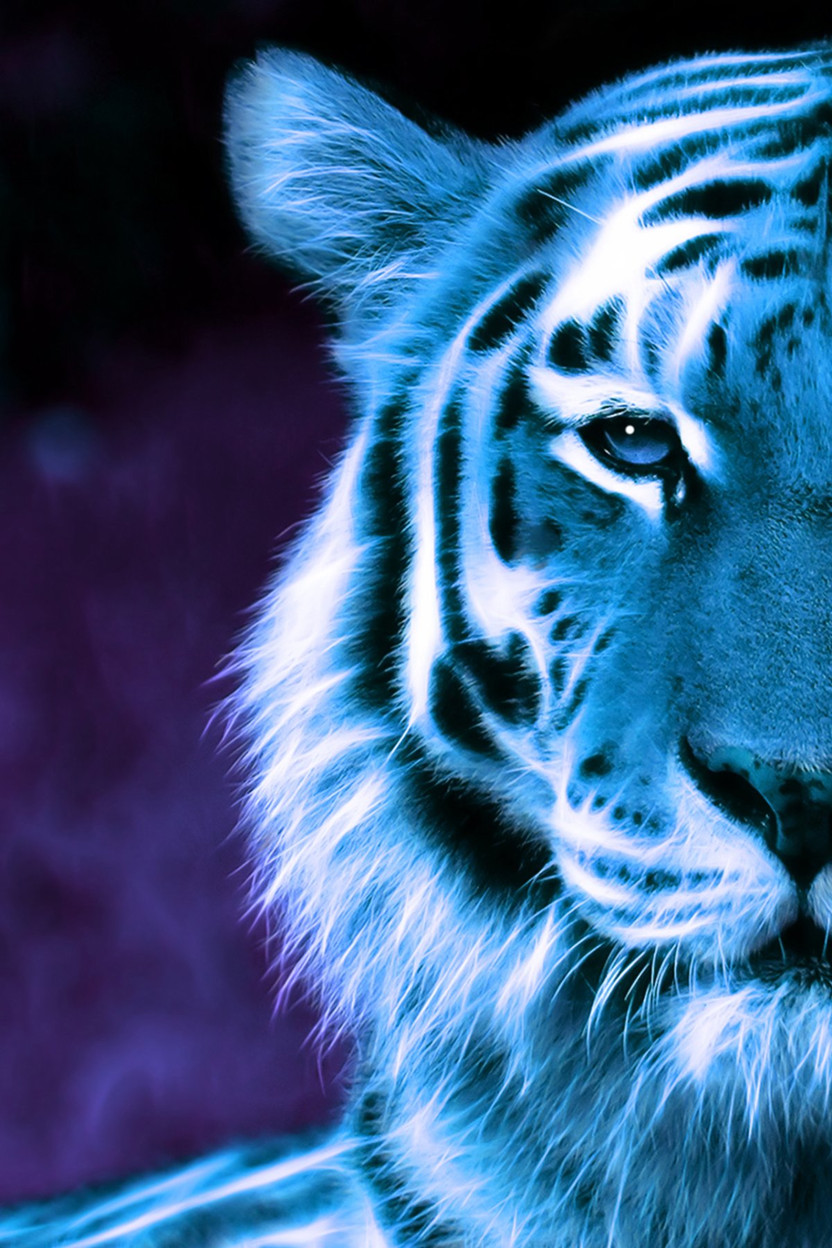 Тайгер Блю тигр. Голубой тигр. Тигр обои. Красивый тигр.
