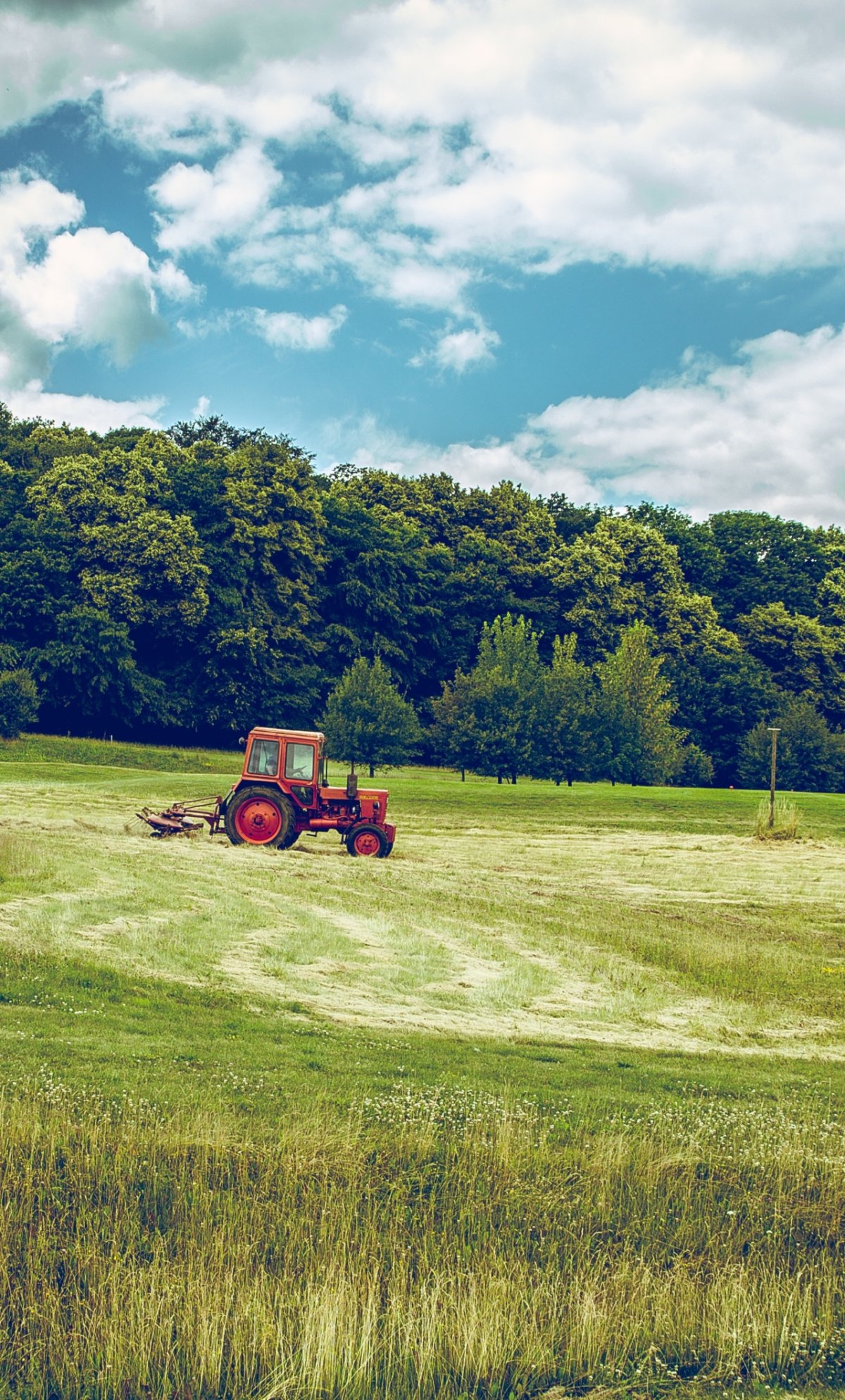 1200x1988  Картинки тракторов в поле - 71 фото