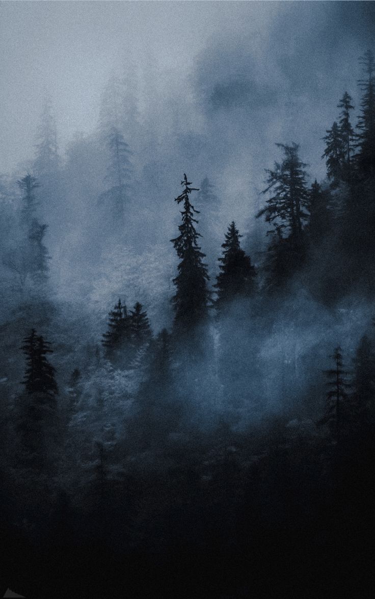 736x1177  здоровье • пинтерест • смм (@lana.marble) • Instagram photos and videos в  2023 г | Изображения неба, Обои для ipod, Пейзажи