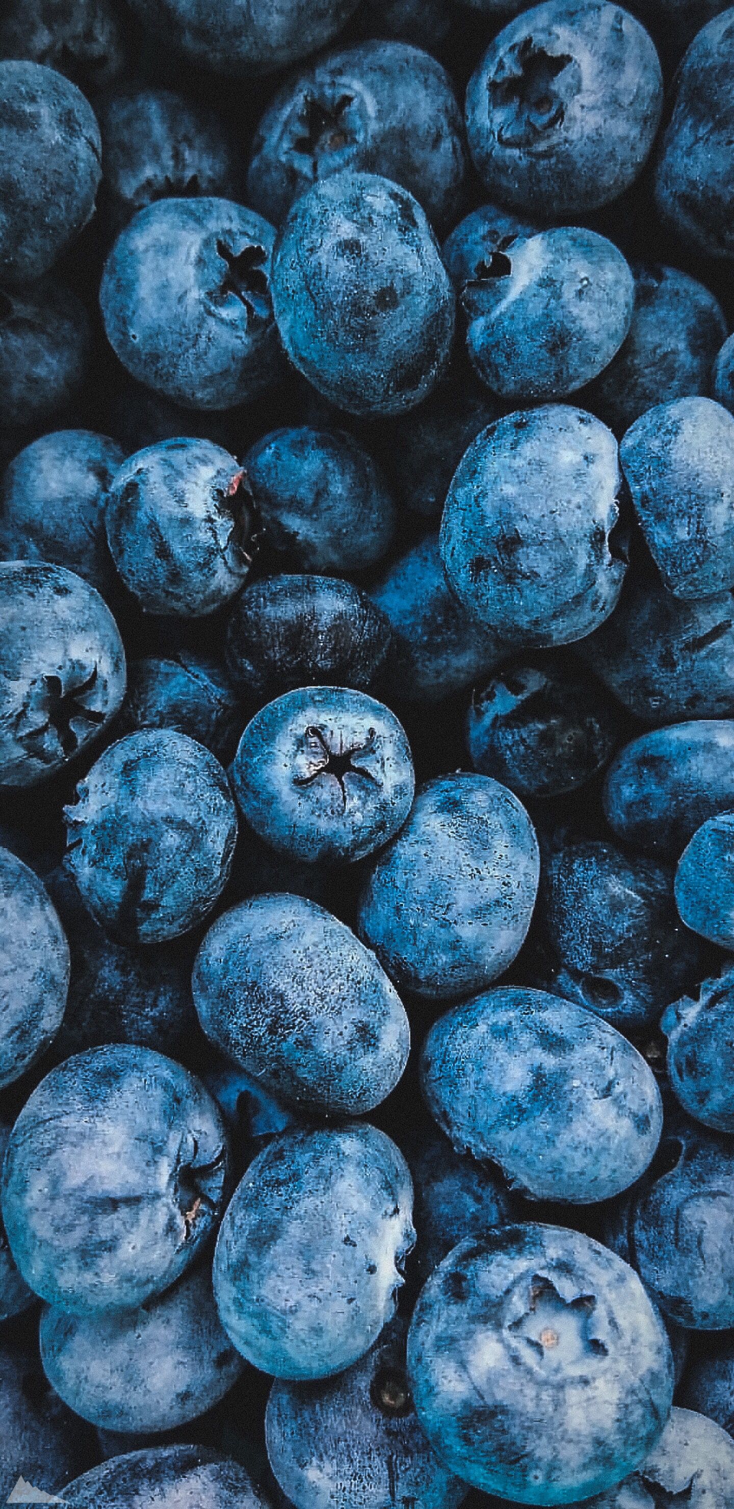 1440x2960  Обои | Черника | Пейзажи, Живописные пейзажи, Черника