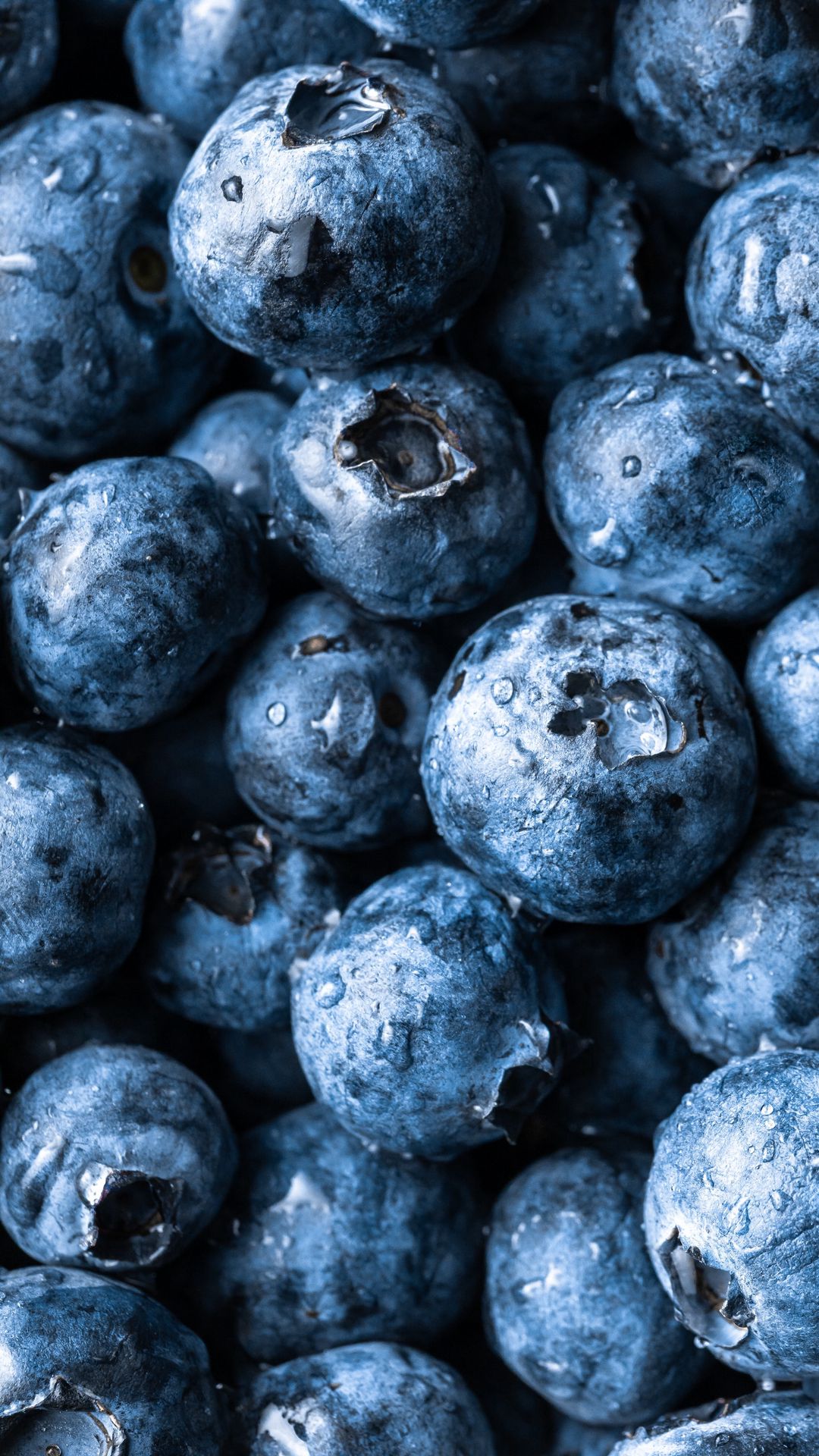 1080x1920  Скачать 1080x1920 черника, ягода, фрукт, макро обои, картинки samsung  galaxy s4, s5, note, sony xperia z, z1, z2, z3, htc one, lenovo vibe