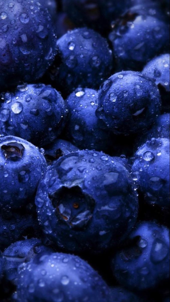 678x1200  🧊Голубика🧊 | Fruit photography, Fruit, Fruit wallpaper