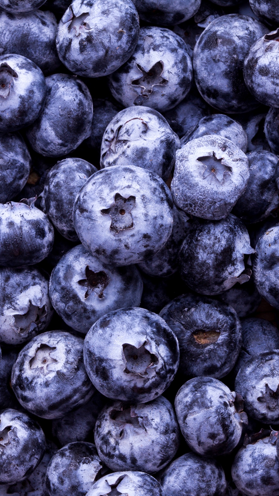 1080x1920  Скачать 938x1668 черника, ягоды, стакан, голубика обои, картинки iphone  8/7/6s/6 for parallax