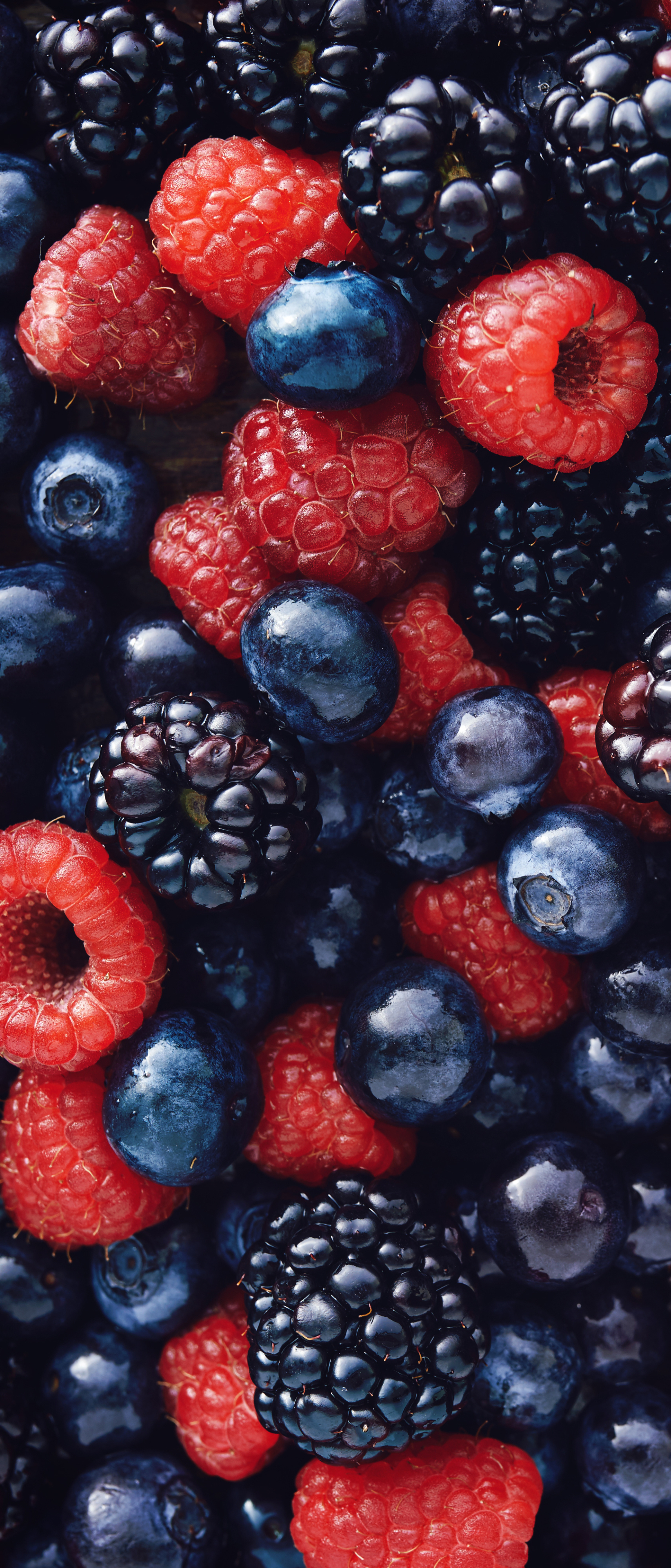 1644x3840  Симпатичные акварельные черники мобильные обои фон Обои Изображение для  бесплатной загрузки - Pngtree