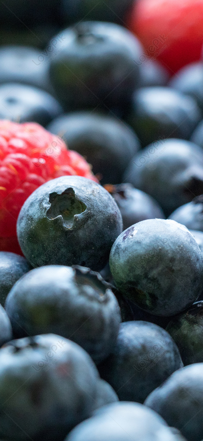 650x1407  Скачать 938x1668 ежевика, малина, клубника, голубика, черника, ягоды обои,  картинки iphone 8/7/6s/6 for parallax