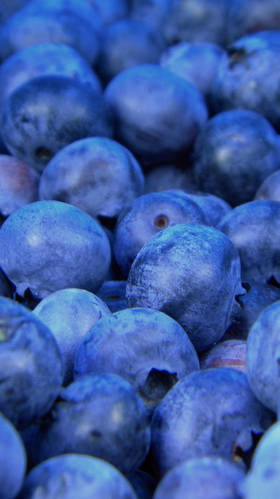 938x1668  Обои на телефон: Свежий, Черника, Спелый, Еда, Ягоды, 89330 скачать  картинку бесплатно.