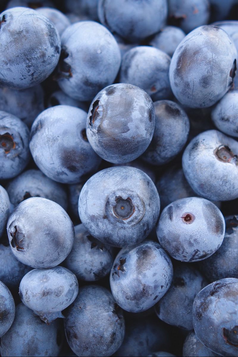 800x1200  Обои на телефон | Blueberry, Fruit, Photo and video
