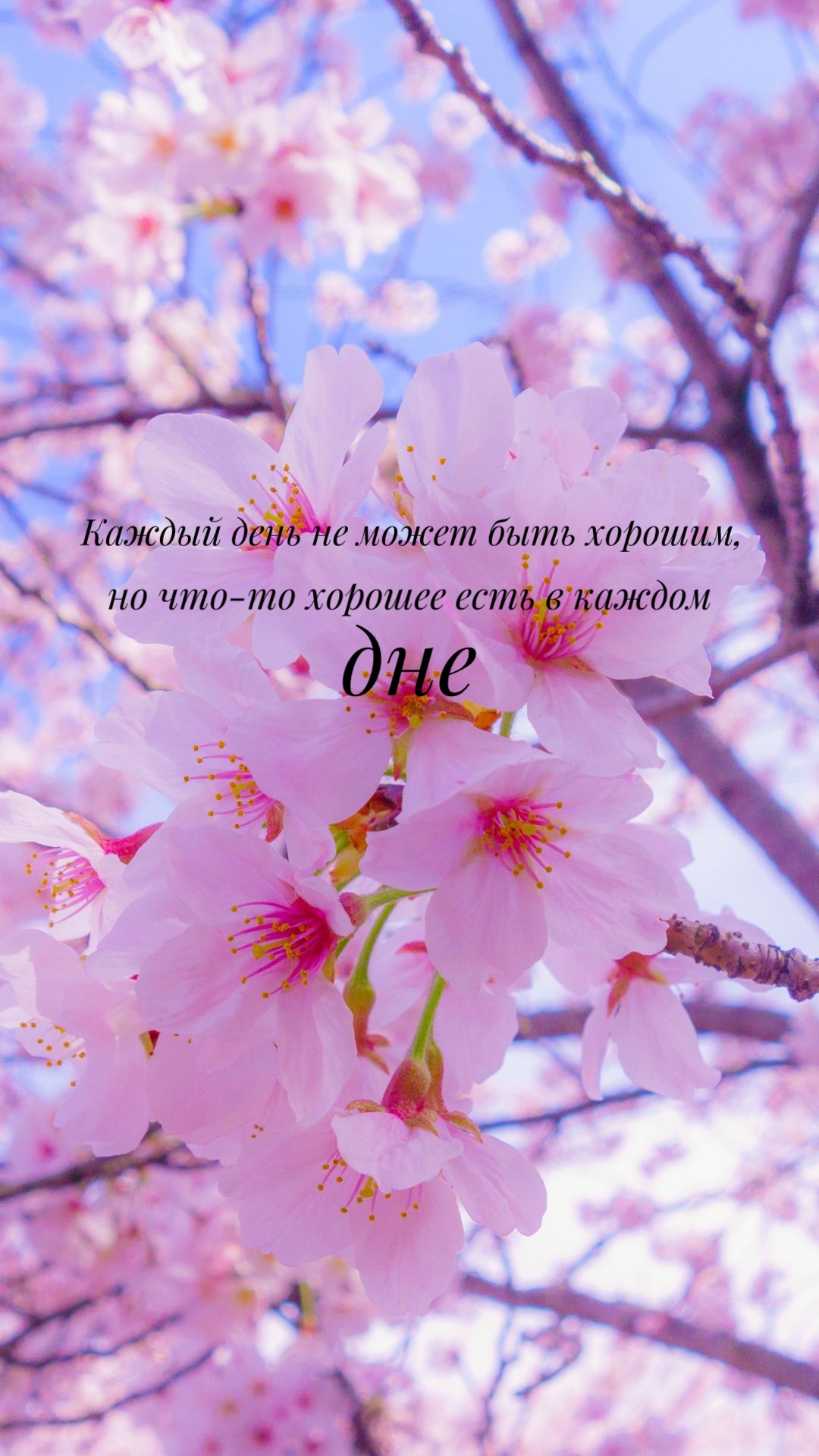 1080x1920  Весенние обои на телефон с мотивацией