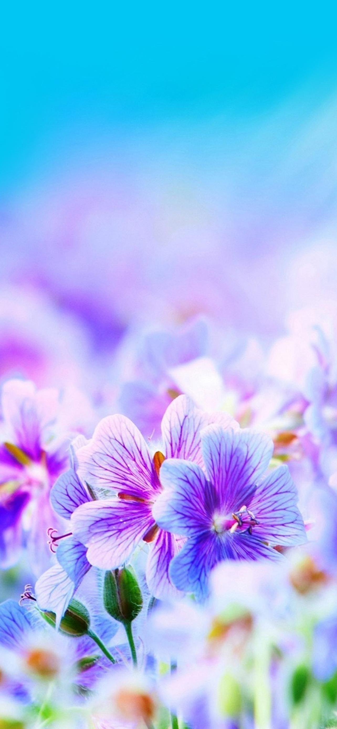 1284x2778  Очень красивые обои на телефон [20+ изображений]