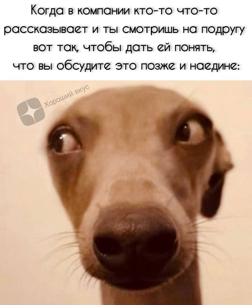 968x1172  https://dzen.ru/a/ZWygJcIF-xcra_CK