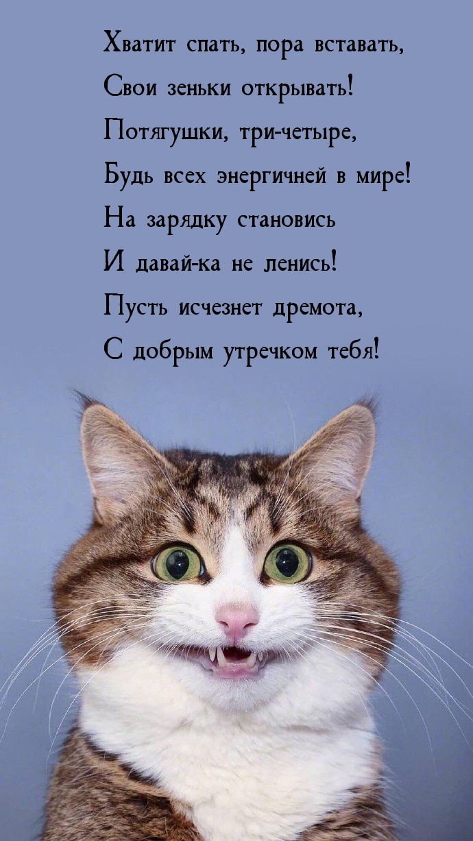 690x1227  Много Приколов Про Школу / СМЕШНЫЕ КАРТИНКИ И МЕМЫ | Розовая Жуля | Дзен