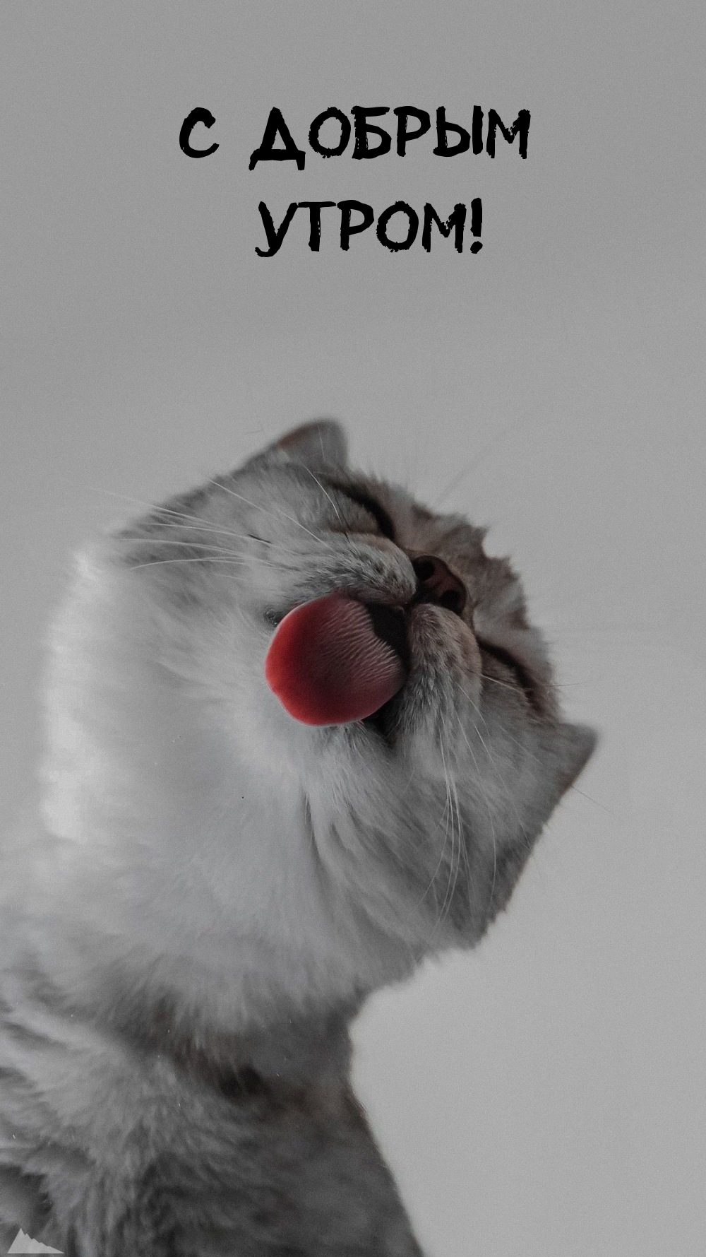 1000x1779  https://dzen.ru/a/ZWygJcIF-xcra_CK