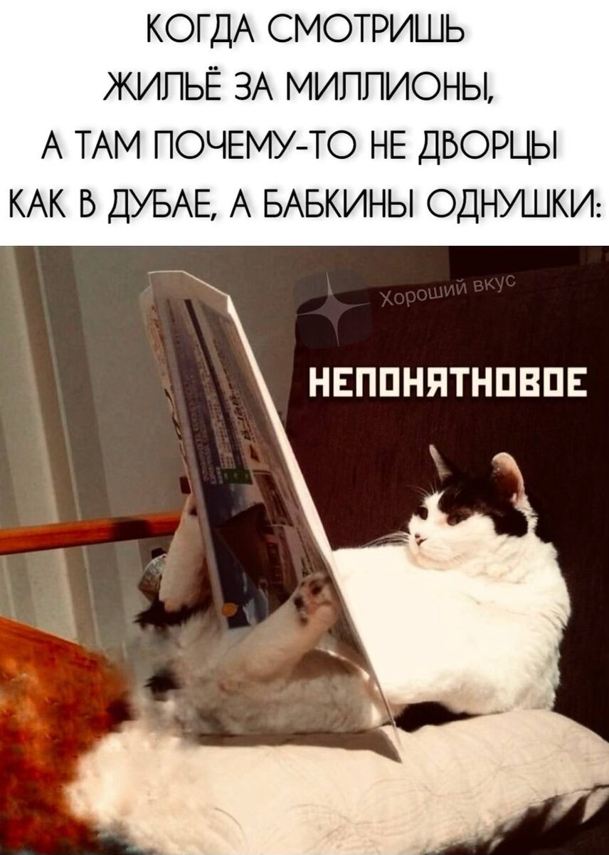 856x1200  Смешные картинки и не от Aleksandr за 10.05.2020 15:12