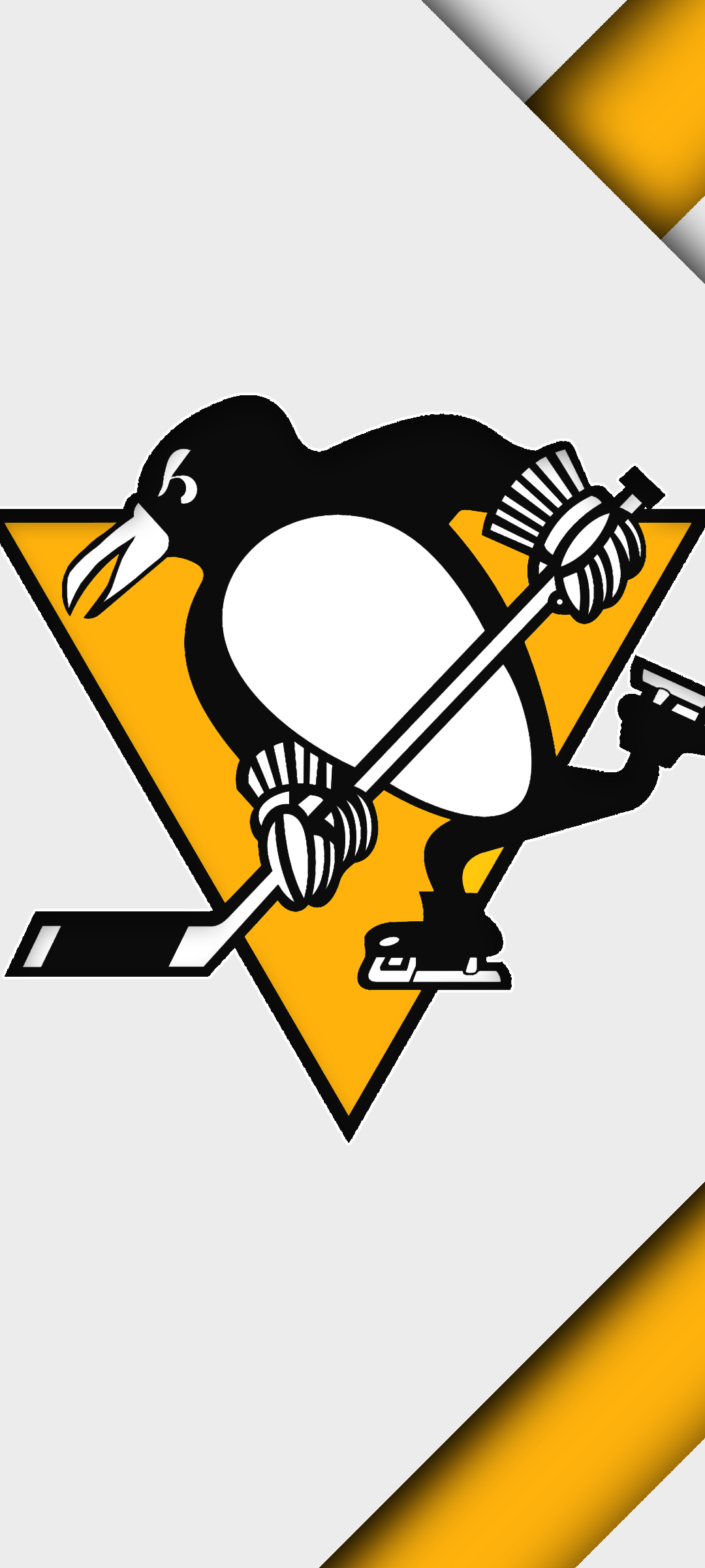 1080x2400  Download \"Pittsburgh Penguins\" wallpapers for mobile phone, free  \"Pittsburgh Penguins\" HD pictures